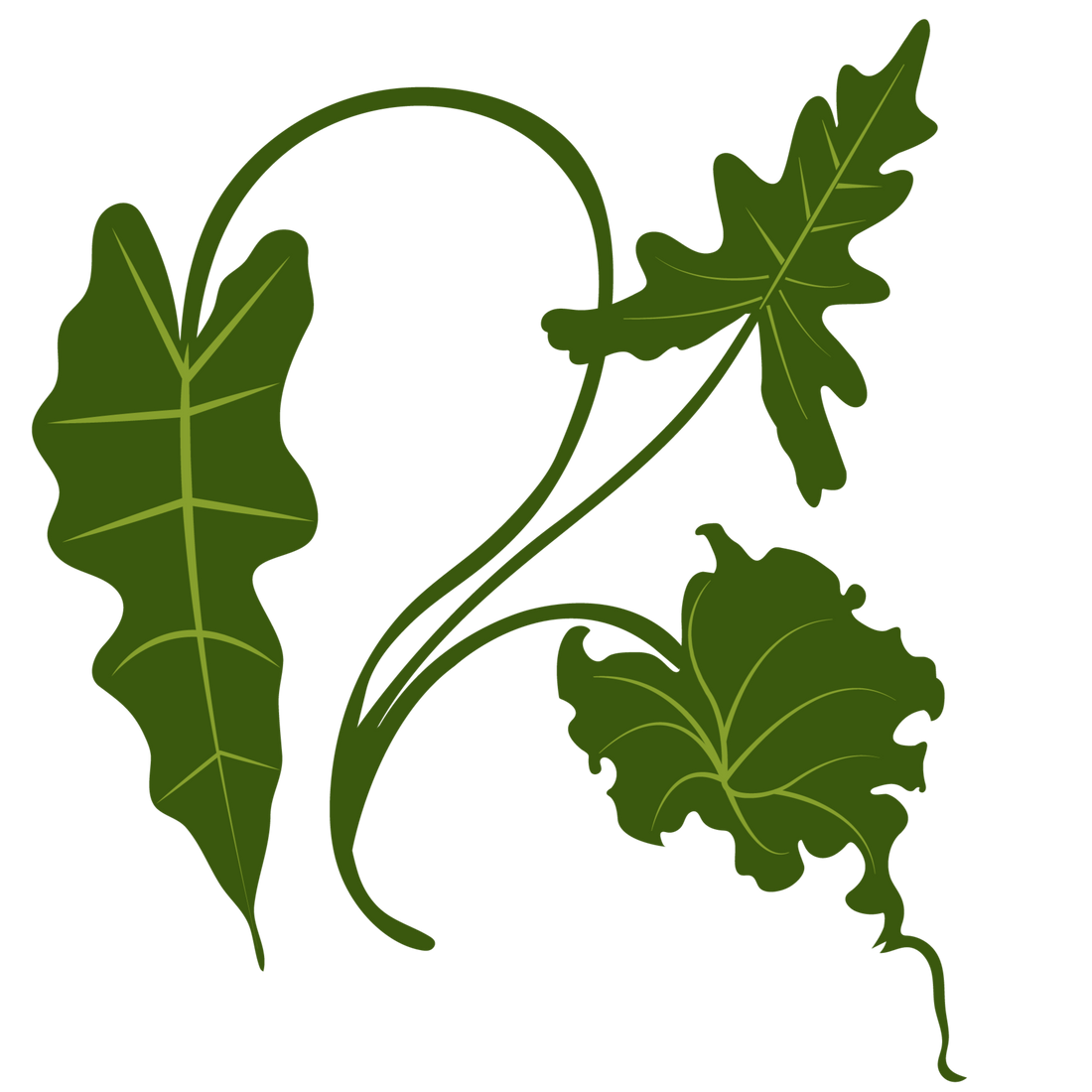 Green leafy design on a white background